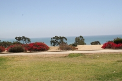IMG_0050 (Medium)