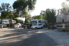 SRH Columbia, CA 2017 016 (Small)