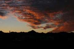 SRH Quartzsite 2017 043