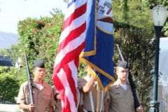 flag-resize