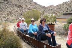 SRH Joshua Tree 2018 025 (Medium)