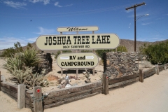 SRH Joshua Tree 2018 051 (Medium)