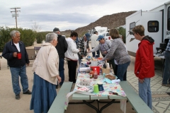 SRH Joshua Tree 2018 084 (Medium)