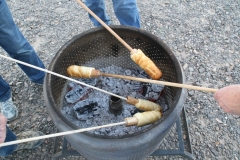 SRH Quartzsite 2019 090 (Medium)