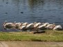 2019 Santee Lakes Recreation Preserve