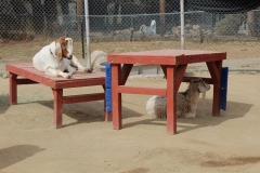 CALM-Bakersfield_0007