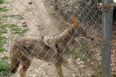 CALM-Bakersfield_0012