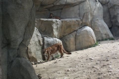 CALM-Bakersfield_0022
