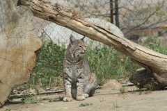 SRH-Bakersfield-2020-0085-Medium