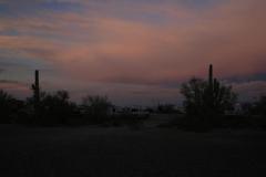 SRH-Quartzsite-2020-0047-Medium
