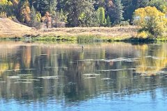 IMG_0568
