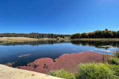 IMG_0570