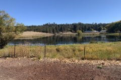 IMG_4241