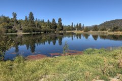 IMG_4242