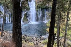IMG_4268