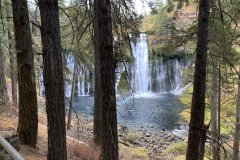 IMG_4269