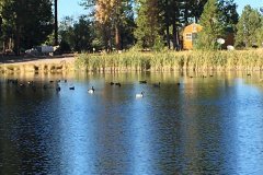 RV-Park-Lake