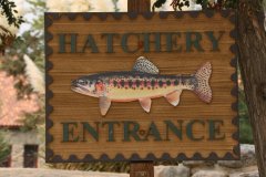 SRH-Boulder-Creek-2021-0007-Small