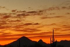 processed-ebba4924-e856-46fc-875b-038a67ed4a08_sPeSWsXu