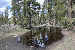 IMG_7486aa