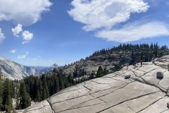 IMG_7696aa