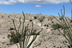 06-IMG_3125_resize