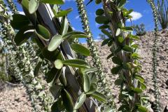 07-IMG_3129_resize