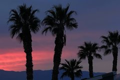 IMG_3917aa