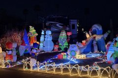 IMG_0237