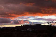 IMG_3601aa