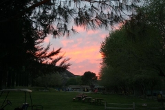 SRH Acton 2015 032 (Small)