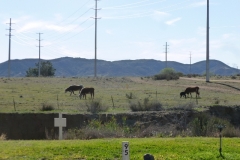 SRH Banning KOA 2014 2014-03-12 024 (640x480)