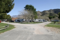 IMG_1228 (Small)
