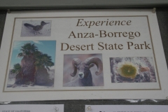 SRH Borrego Springs 2019 0008 (Medium)