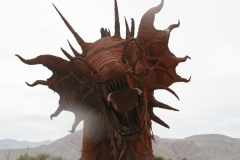 SRH Borrego Springs 2019 0105 (Medium)