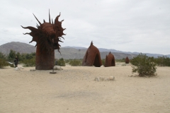 SRH Borrego Springs 2019 0106 (Medium)