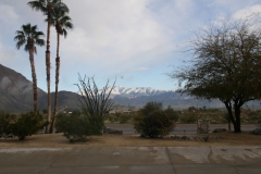 SRH Borrego Springs 2019 0110 (Medium)