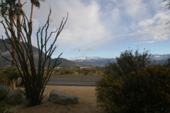 SRH Borrego Springs 2019 0115 (Medium)
