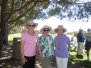 2014 DANA POINT CA