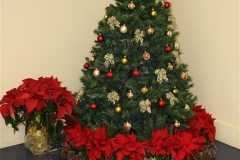SRH Hemet Dec 2012 030 (Small)