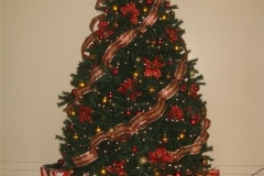 IMG_7533 (Small)