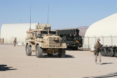 SRH Joshua Tree Nov 2013 058 (Small)