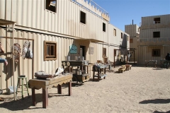 SRH Joshua Tree Nov 2013 063 (Small)