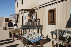 SRH Joshua Tree Nov 2013 066 (Small)