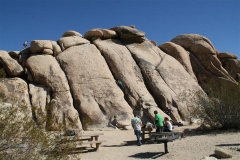 SRH Joshua Tree Nov 2013 100 (Small)