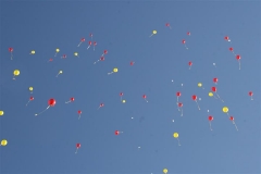 SRH Lancaster 2012 104 (Small)