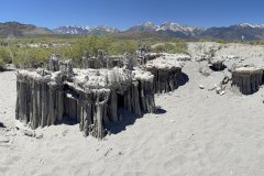 IMG_1891aa