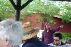 Yosemite May 2014 2014-05-05 175 (640x480)