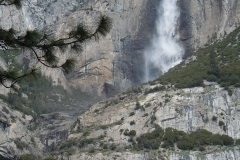 Yosemite May 2014 2014-05-05 216 (480x640)