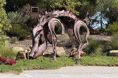 IMG_9557aa